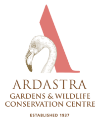 Ardastra Gardens